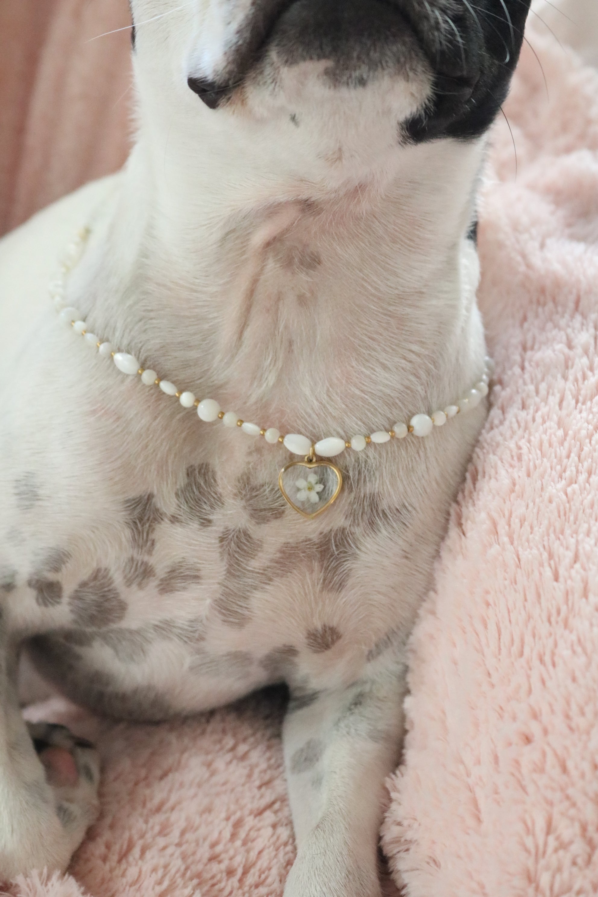 Diana Necklace